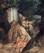 Lorenzo Lotto Penitent St Jerome USA oil painting artist